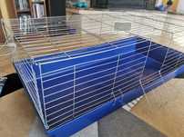 Klatka dla świnki morskiej 120x60 duża + akcesoria