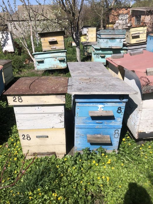 Продам Вулики Б/у для бджіл (та других животних).