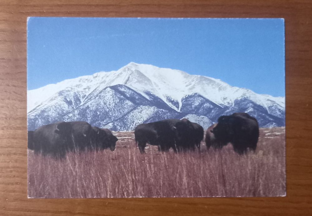 postais ilustrados colecionáveis Marlboro Classics