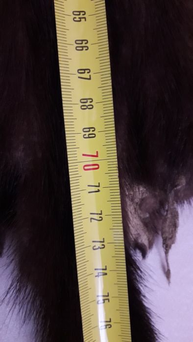 Продам шкіри норки та фредки.