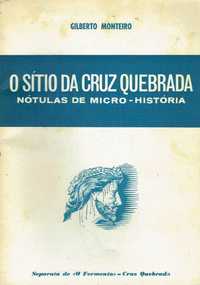 3084

O sítio da Cruz Quebrada 
de Gilberto Monteiro