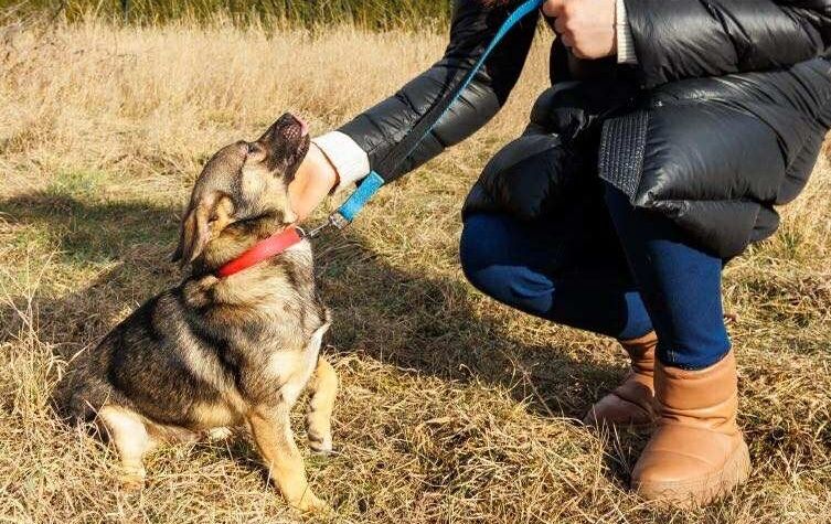 Nieduży Groszek szuka swojej Rodzinyy