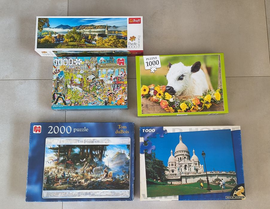 Zestaw puzzli 1000 elementów