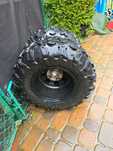 CST Abuzz 25x10-12