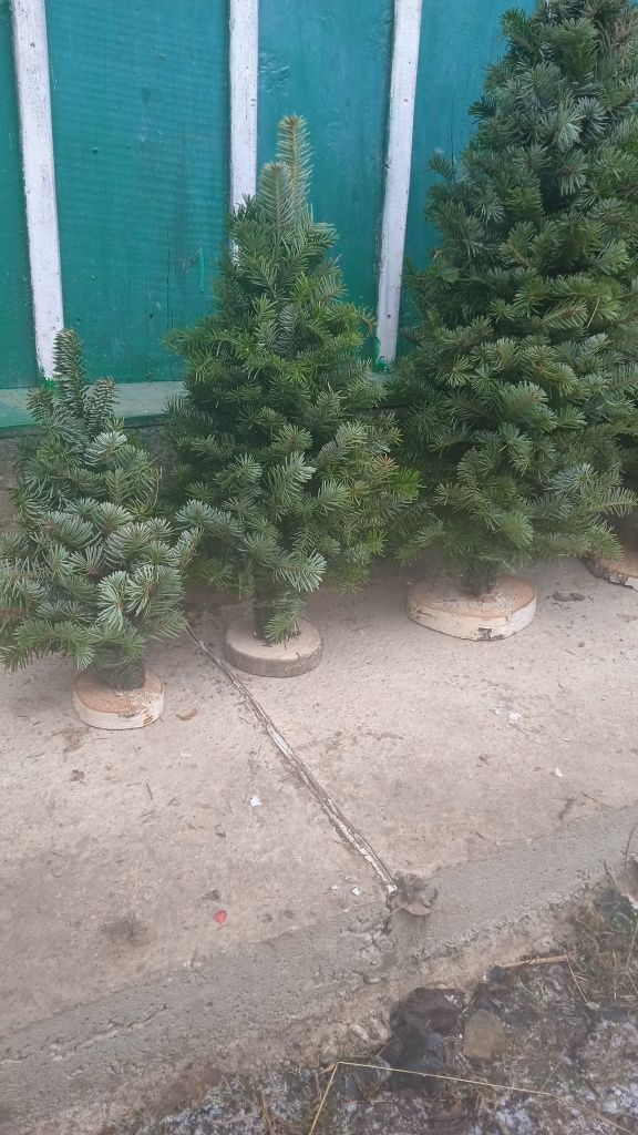 Продається в'язана ялинка різних розмірів