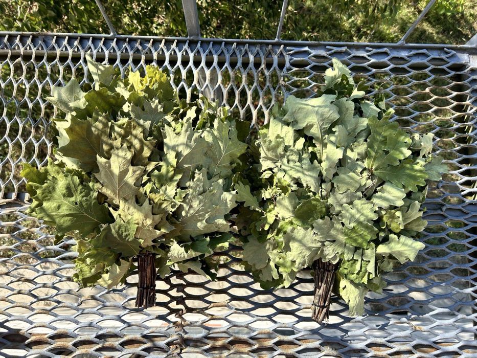 Продам віники для бані