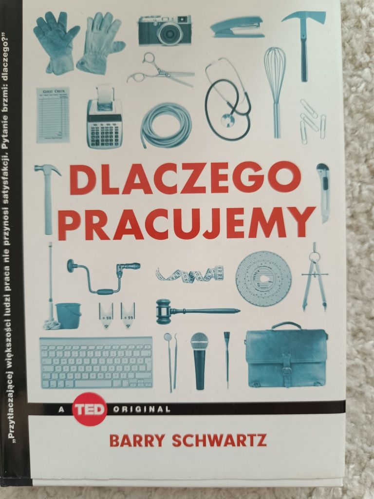 Dlaczego pracujemy, TED