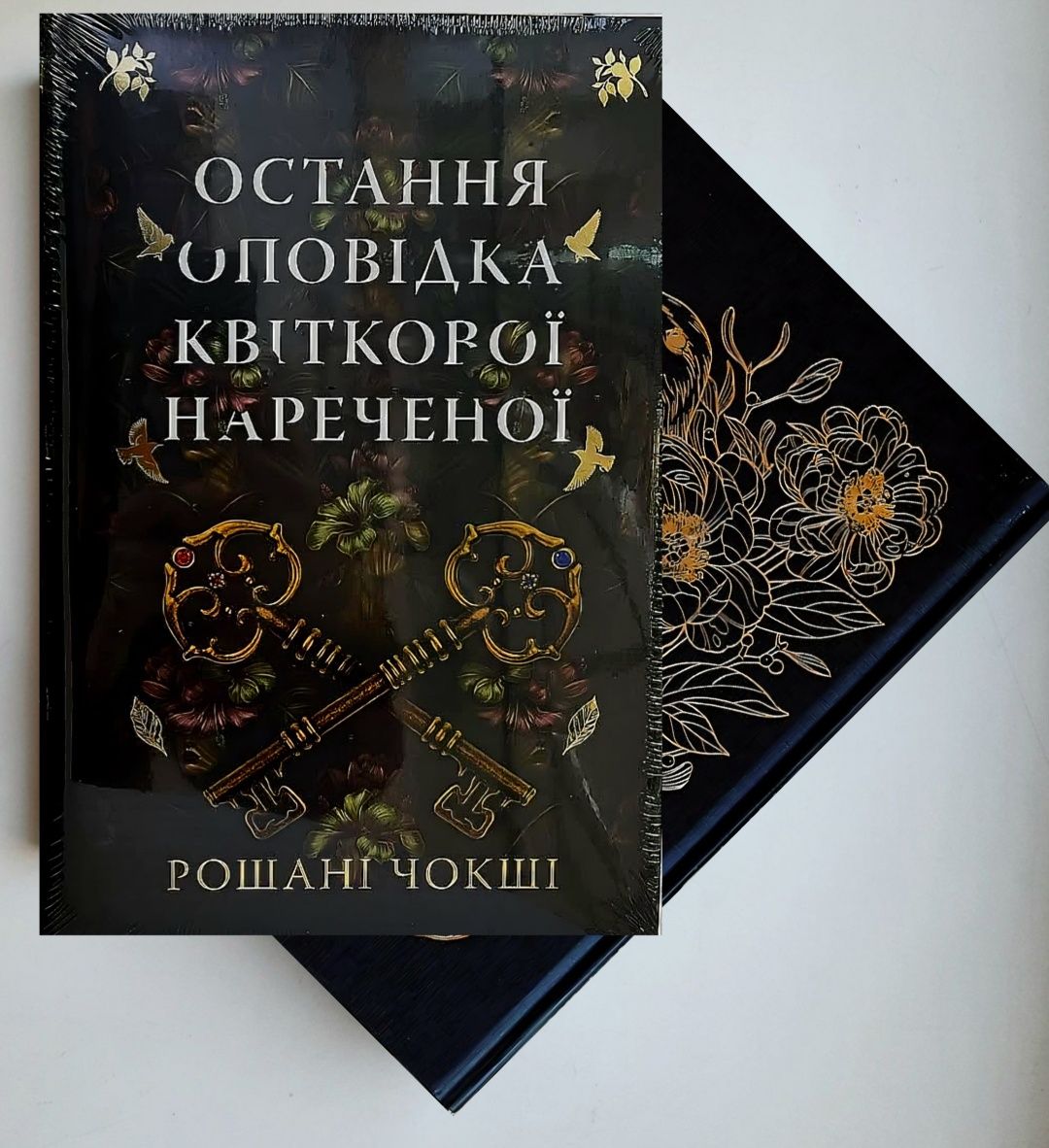 Змія й крила ночі. Двір королеви вампірів. Схождення Аврори. Чорнило
