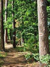 Wynajem domku nad jeziorem zwolnił się termin 27.07 do 01.08 nad brzeg