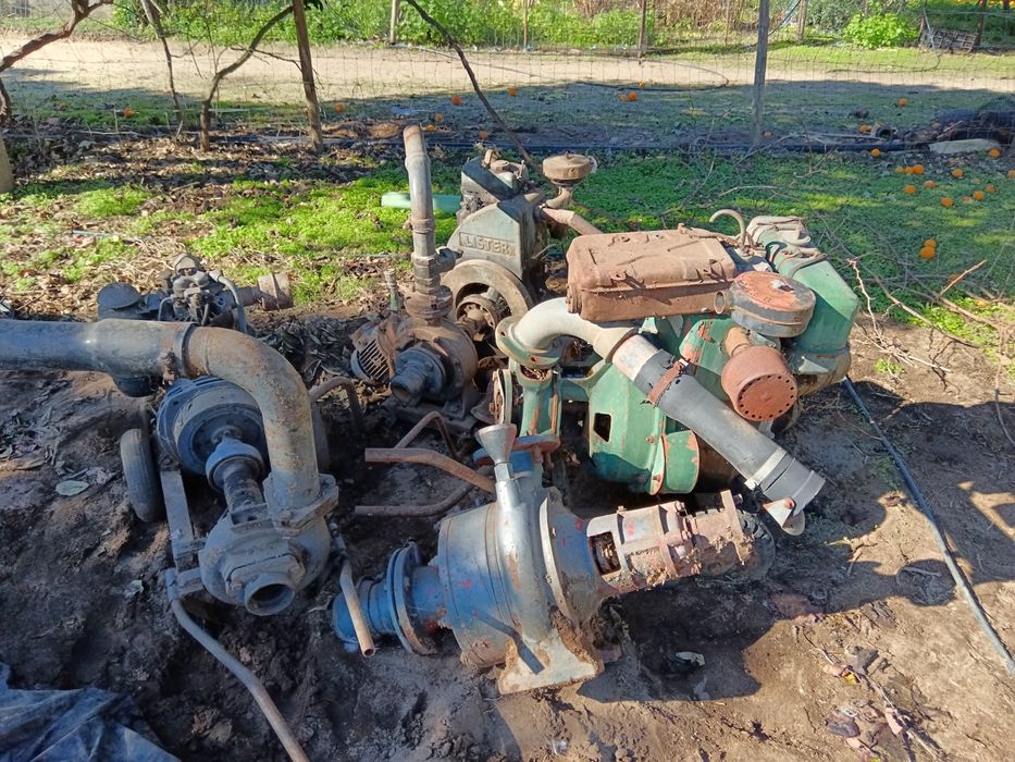 Motores de Rega Lister