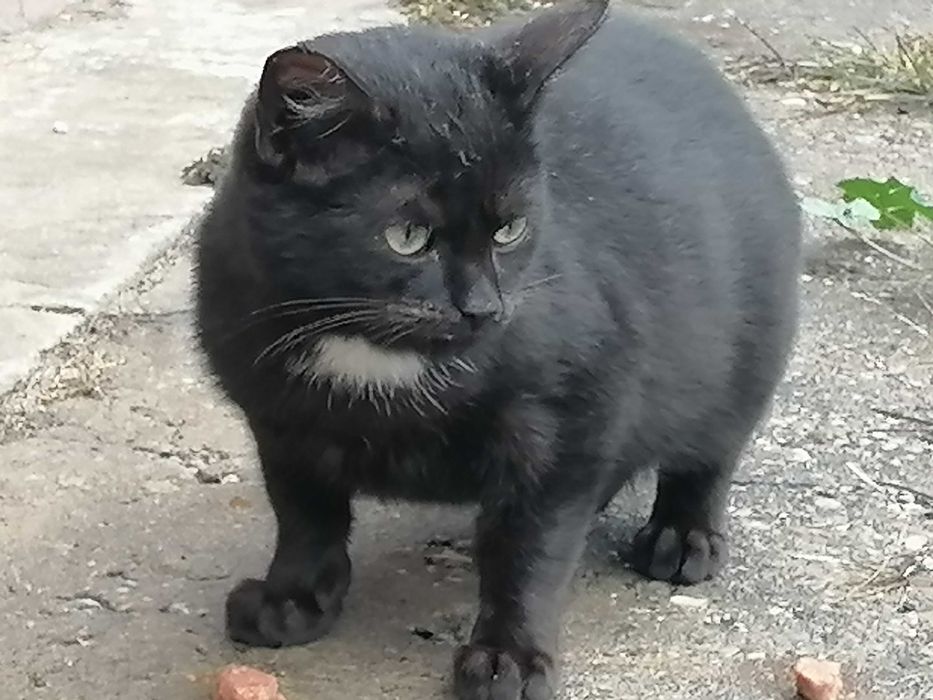 Daj im dom przed zimą