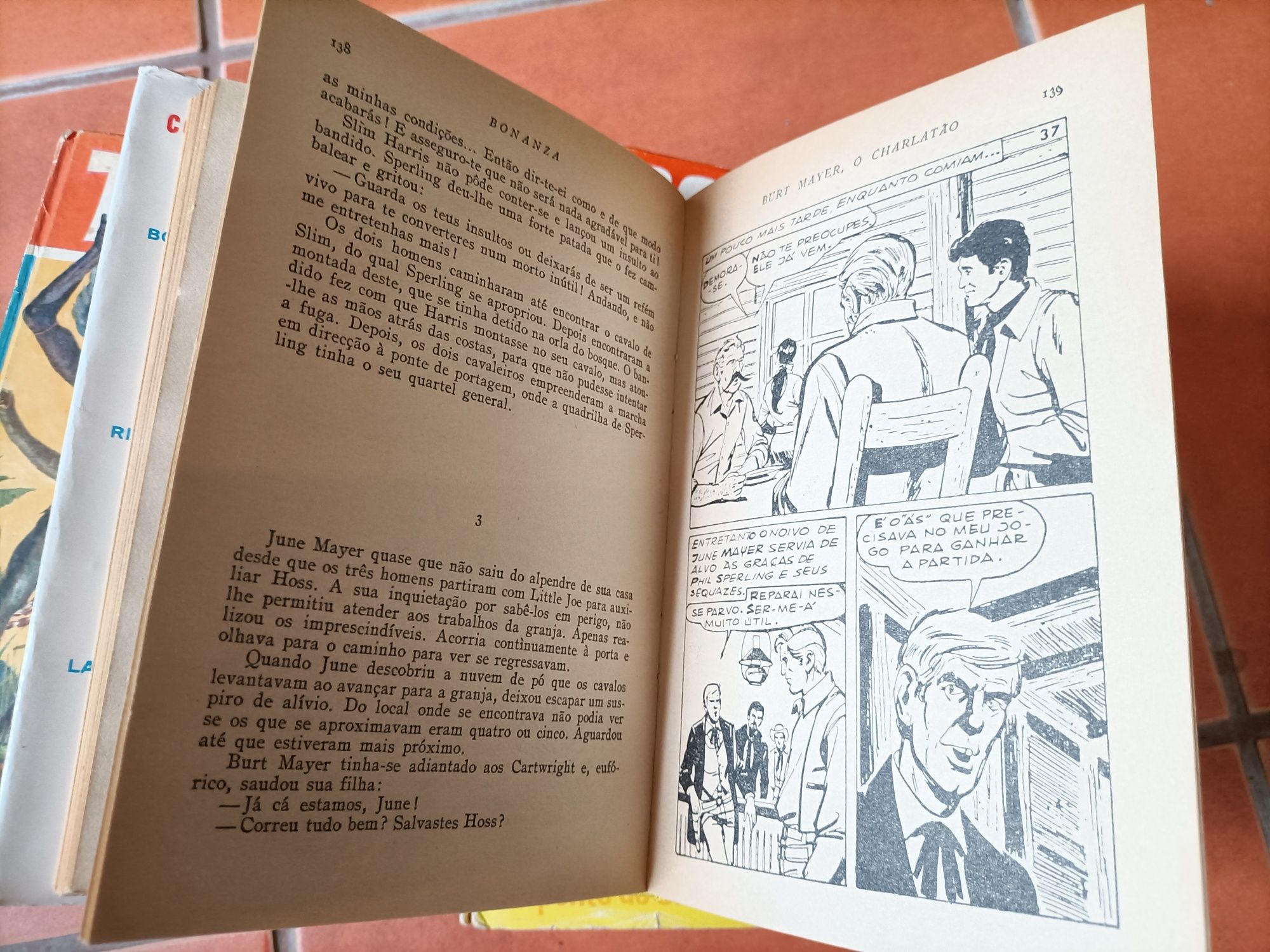 24 Livros Bonanza, Tarzan e Coleção Heidi anos 60