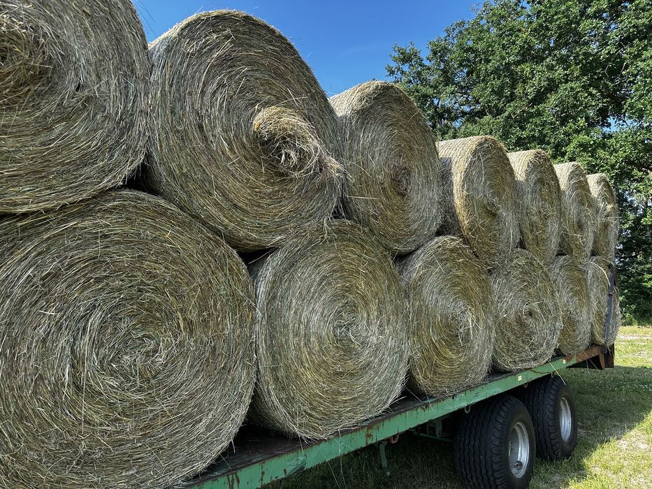 Siano, słoma 2025 z transportem