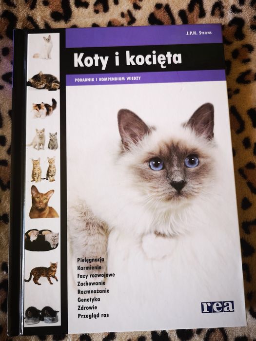 Książka ,, Koty i kocięta