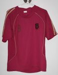 Koszulka Hiszpanii 2008 Torres