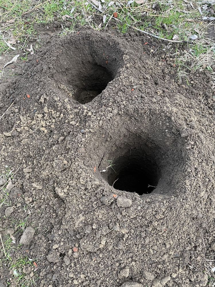 Wiertnica spalinowa świder do gleby wynajem