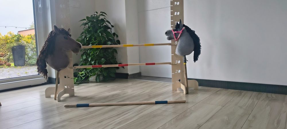 Przeszkoda hobby horse