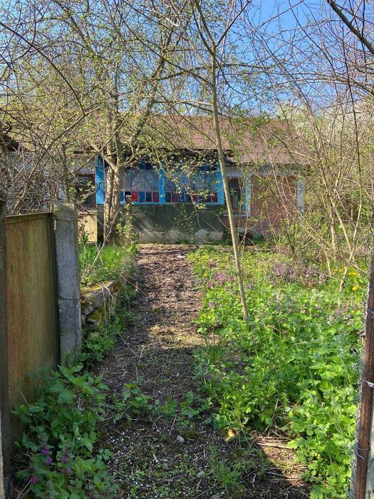 Будинок у с.Цибулівка