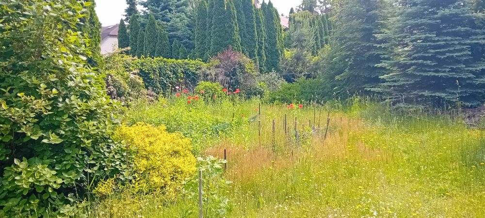 Działka ul Gajowa (Góry)