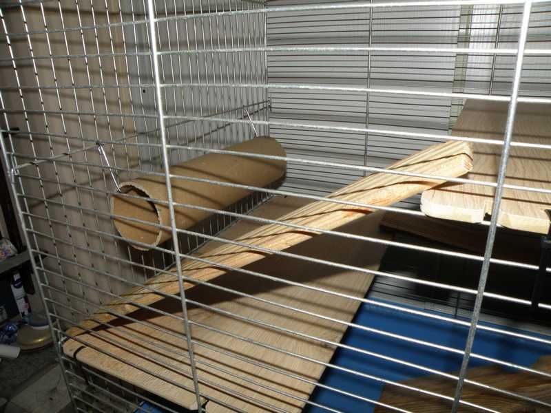 Obszerna klatka "100" szynszyl itp - Wrocław