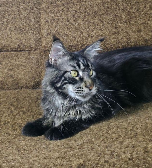 Шикарный крупный мальчик