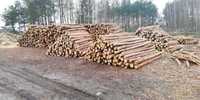 Stemple budowlane drewniane transport gratis.