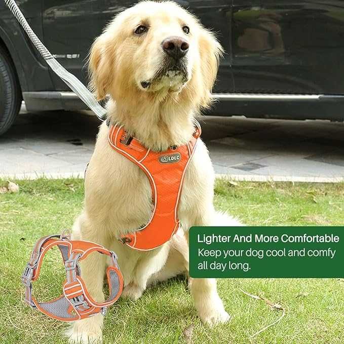 Шлея Fantsccy Air Dog для собак