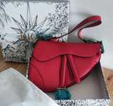 Torebka Dior Saddle