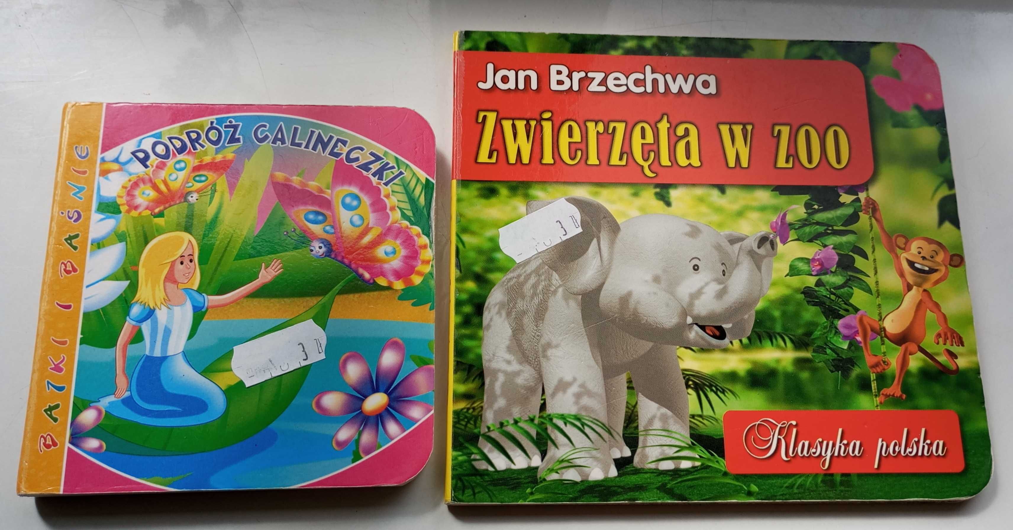 Zestaw książeczek dla dzieci