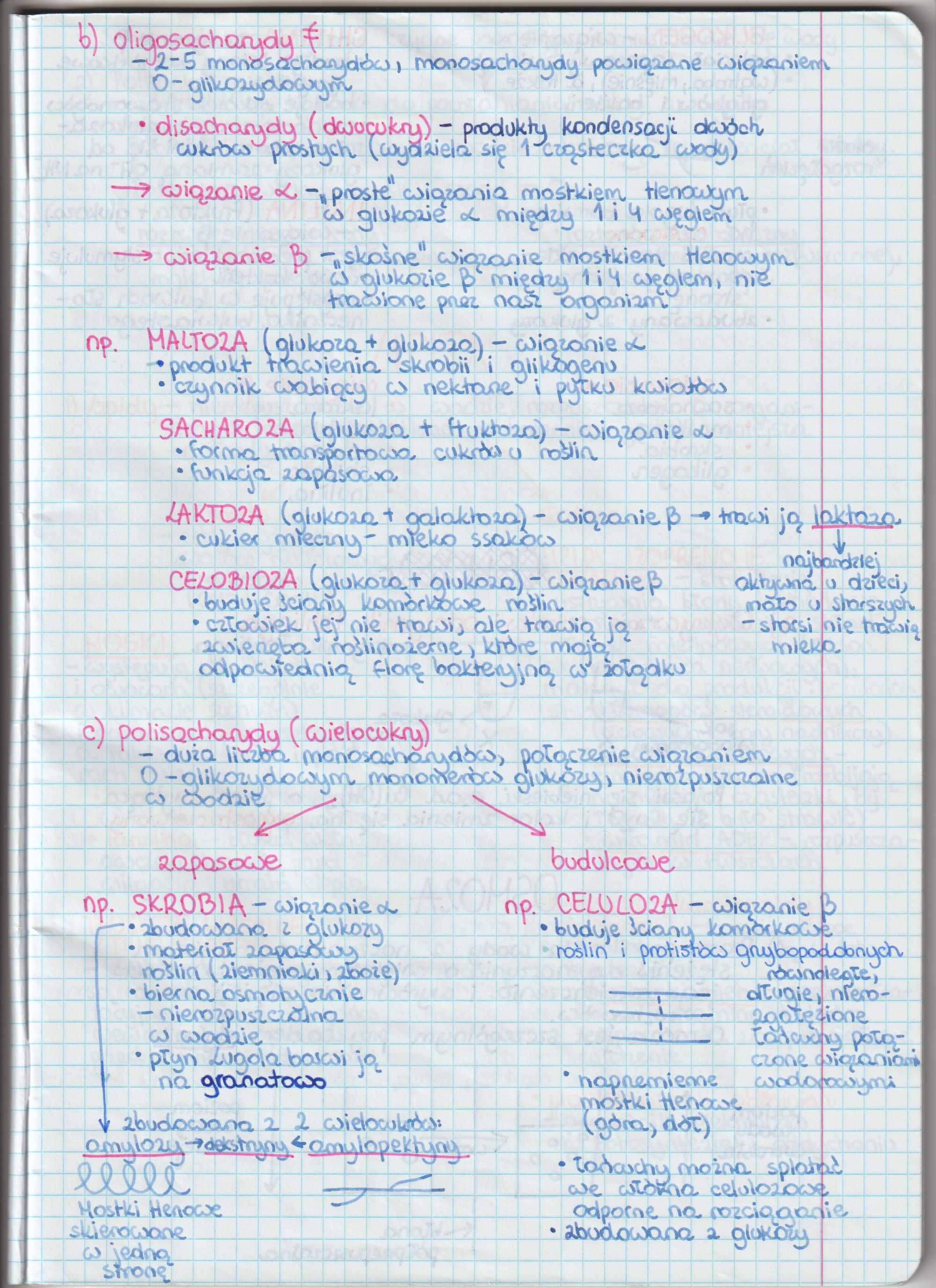 NOTATKI MATURALNE Z BIOLOGII cz. 1 (4-letnie liceum)