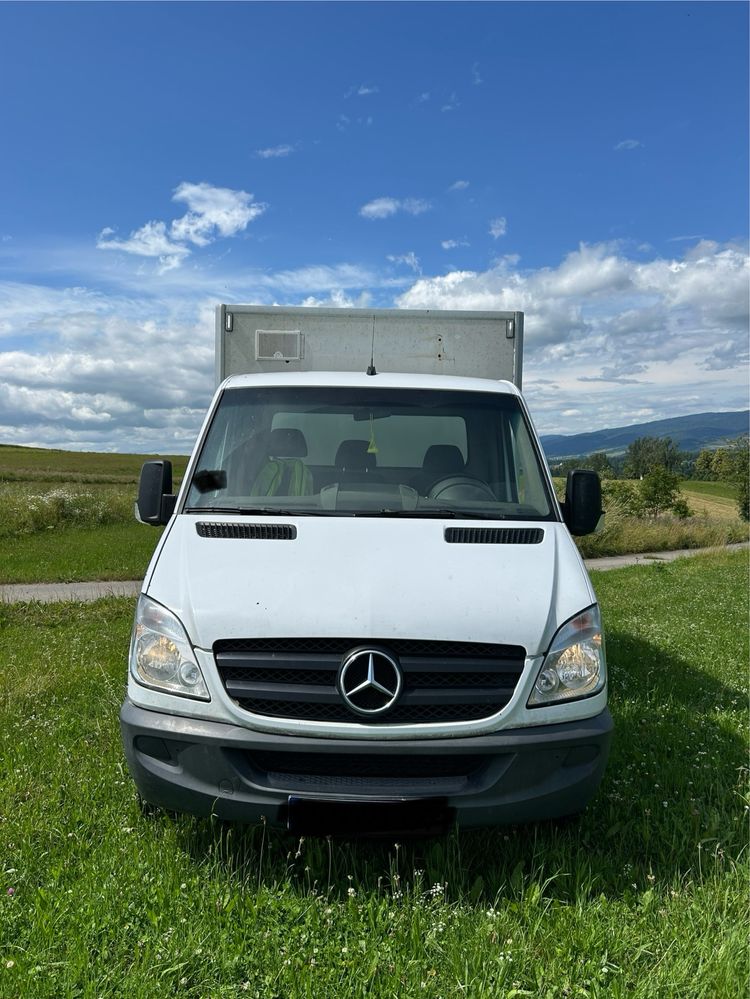 Mercedes-benz sprinter 313 CDI Renault , Volkswagen, Fiat