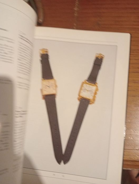 Catálogo the arte of Rolex