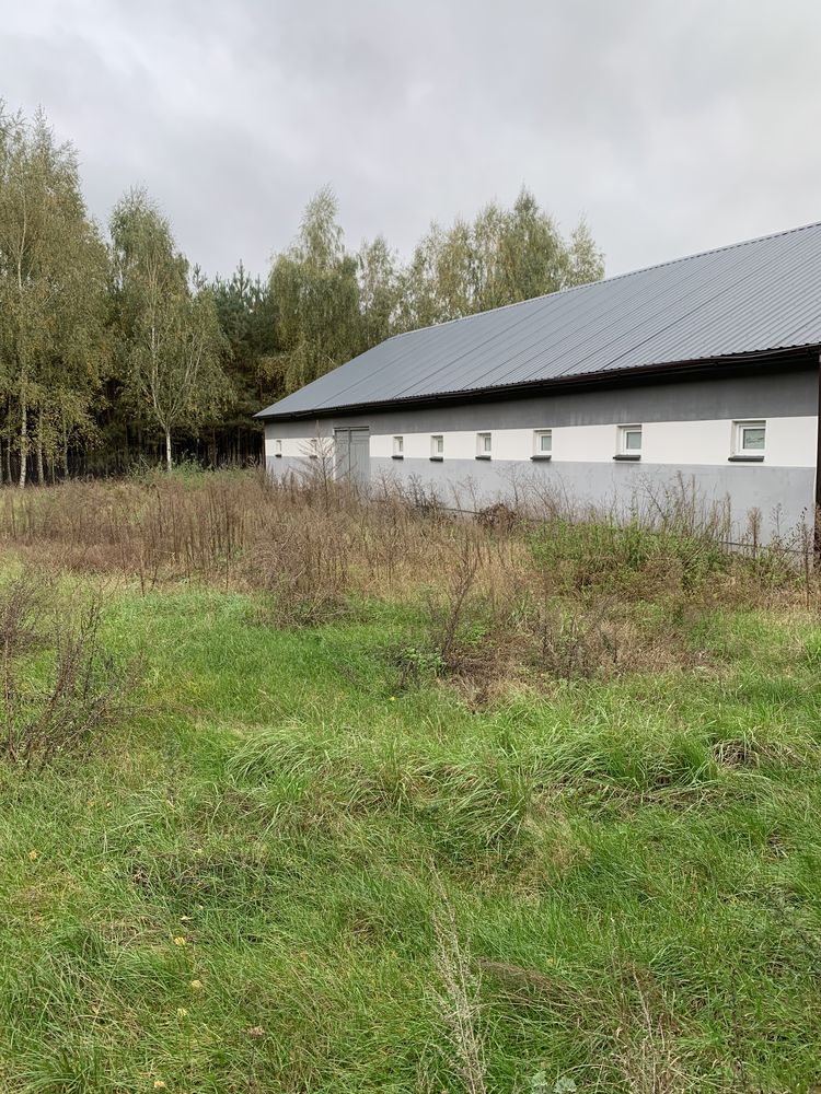 Sprzedam siedlisko w lesie gm. Tłuchowo