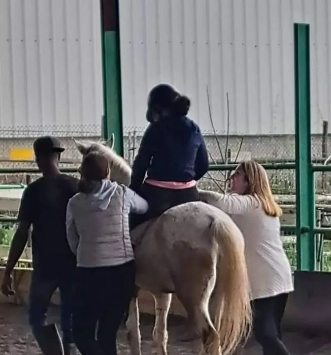 Hipoterapia & Equitação Adaptada em Palmela