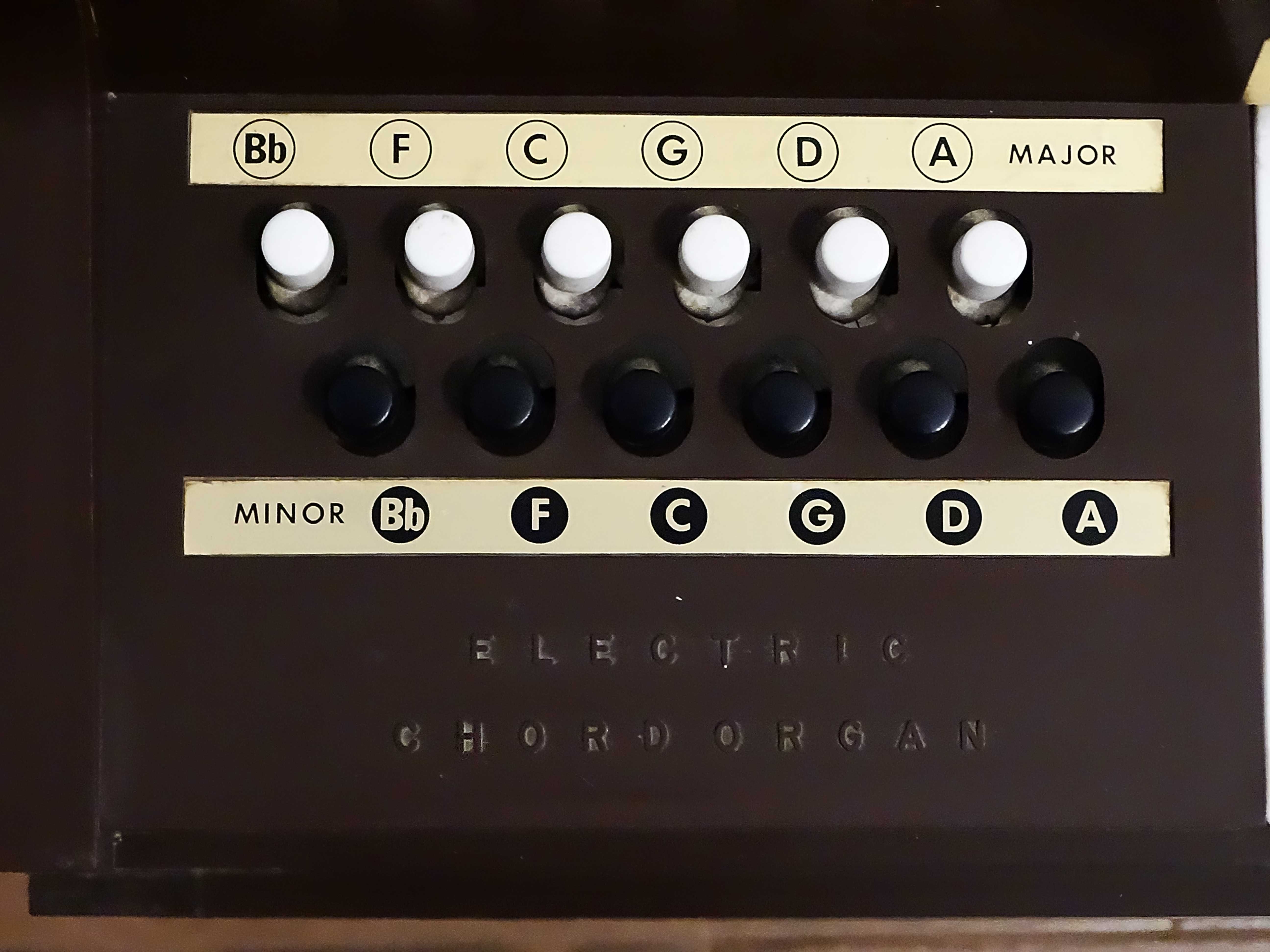 Magnus - Organy elektryczne - USA - 1960