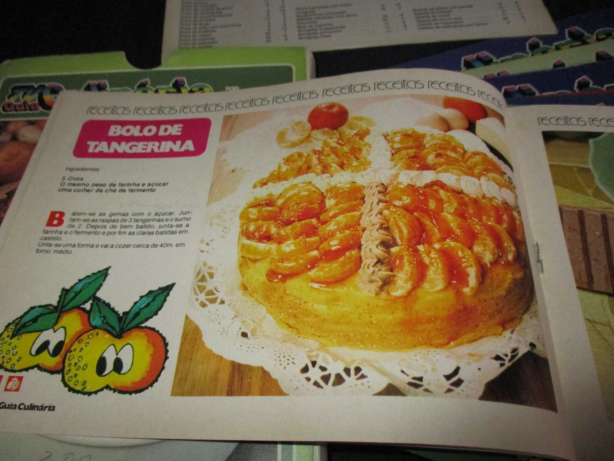 Livro TV Guia Culinária Michel Fichas 1981