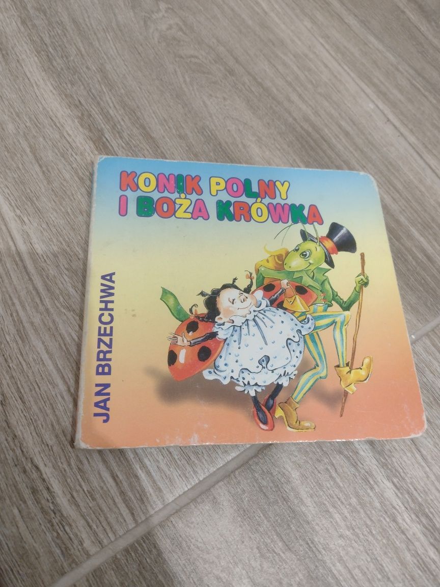 Zestaw książeczek dla dzieci Brzechwa