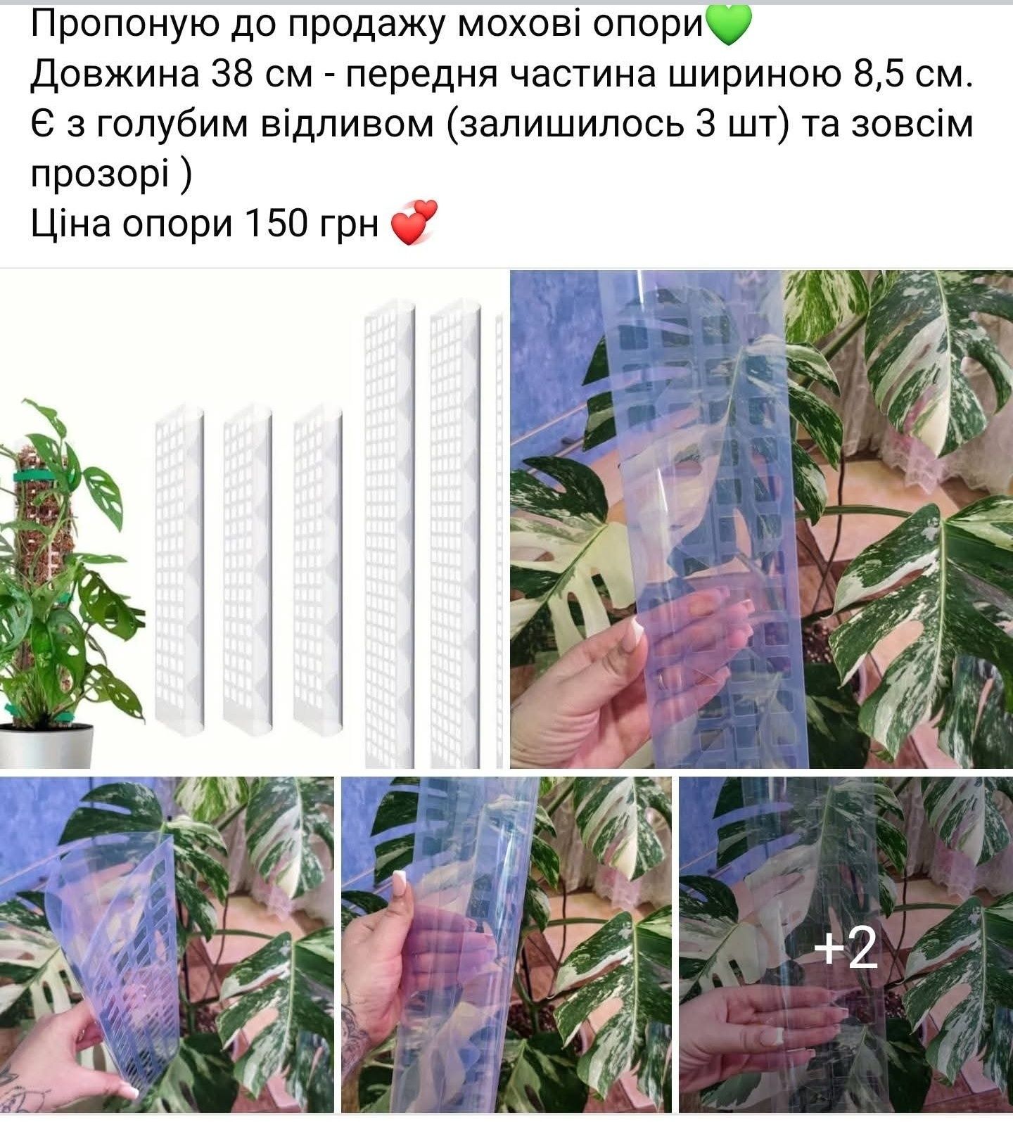 Мохові стійки для рослин