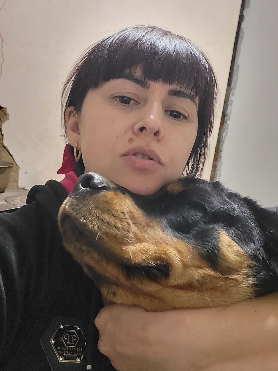 В'язка ротвейлера