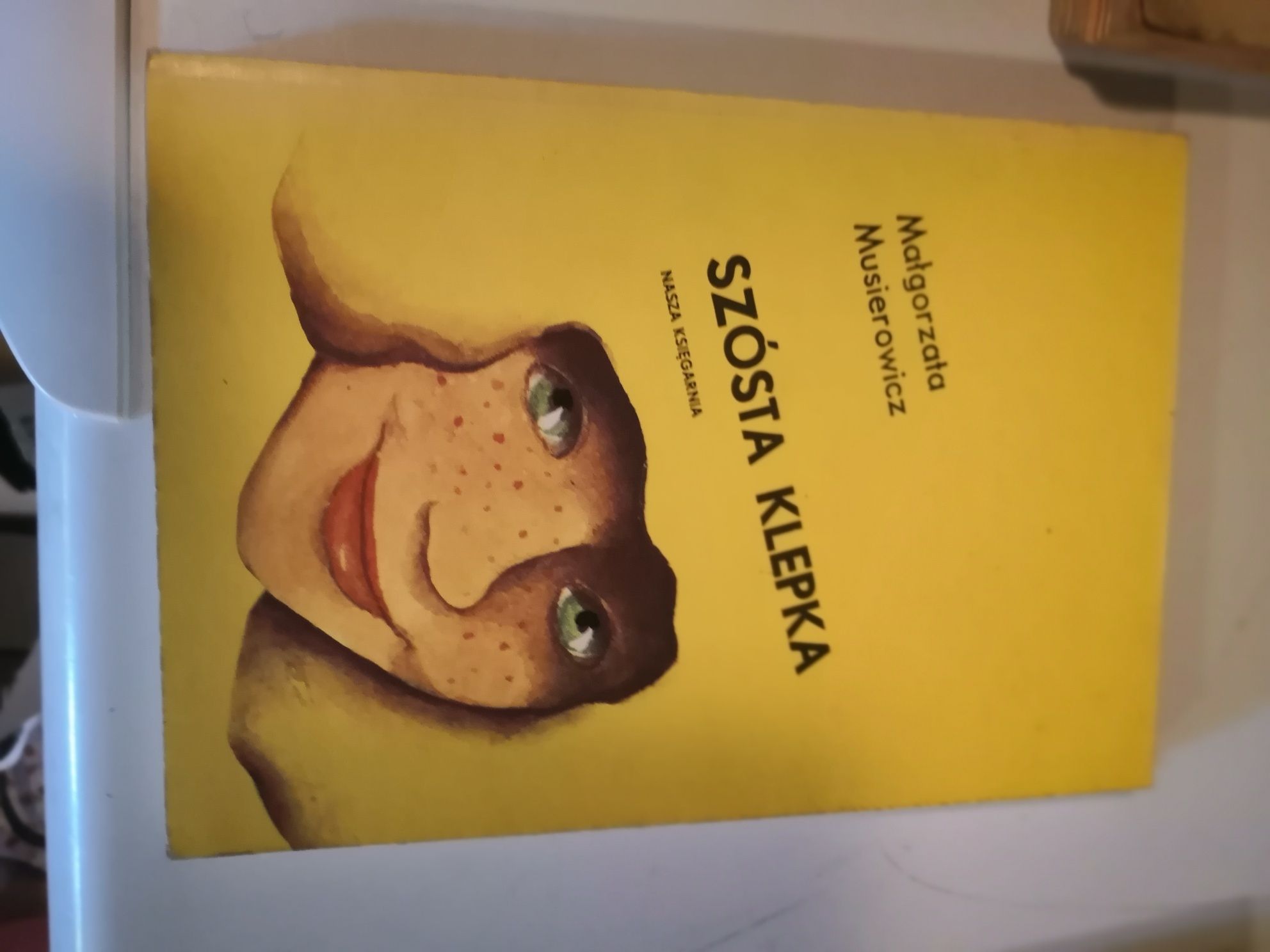 Jeżycjada, M. Musierowicz, Kwiat Kalafiora, Szósta Klepka, Sprężyna
