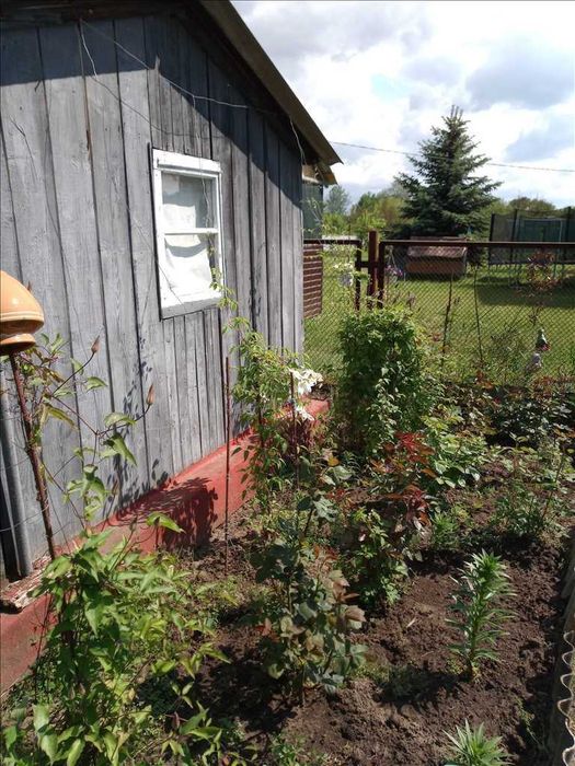 Облагороджена дачна ділянка з садовим будинком!