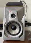 Colunas Sony SS-RX99 + SS-SR110