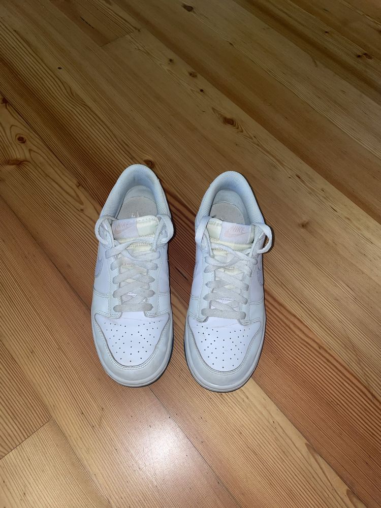 Nike Dunk Low usadas