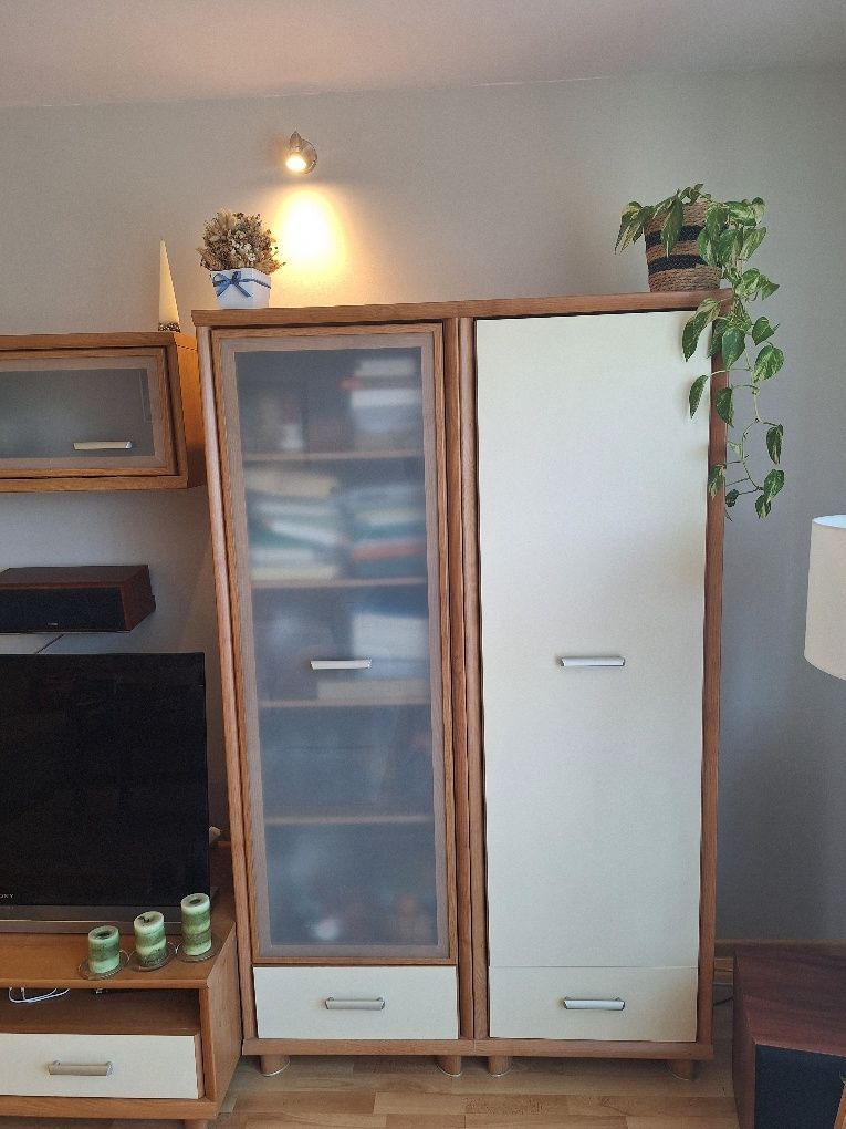 Sprzedam komplet mebli do salonu / pokoju.