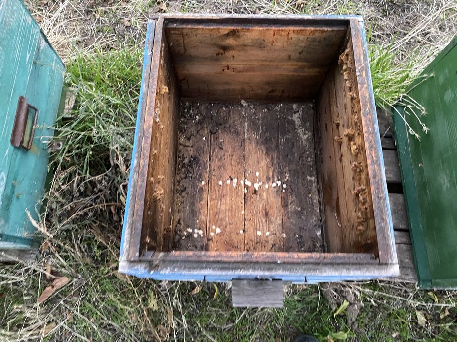 Продаю вулики 10 рамкові