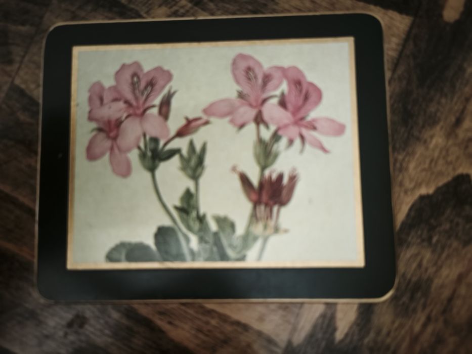 Vintage Podkładka pod Kubek Lady Clare Różowe Kwiaty, Botanika