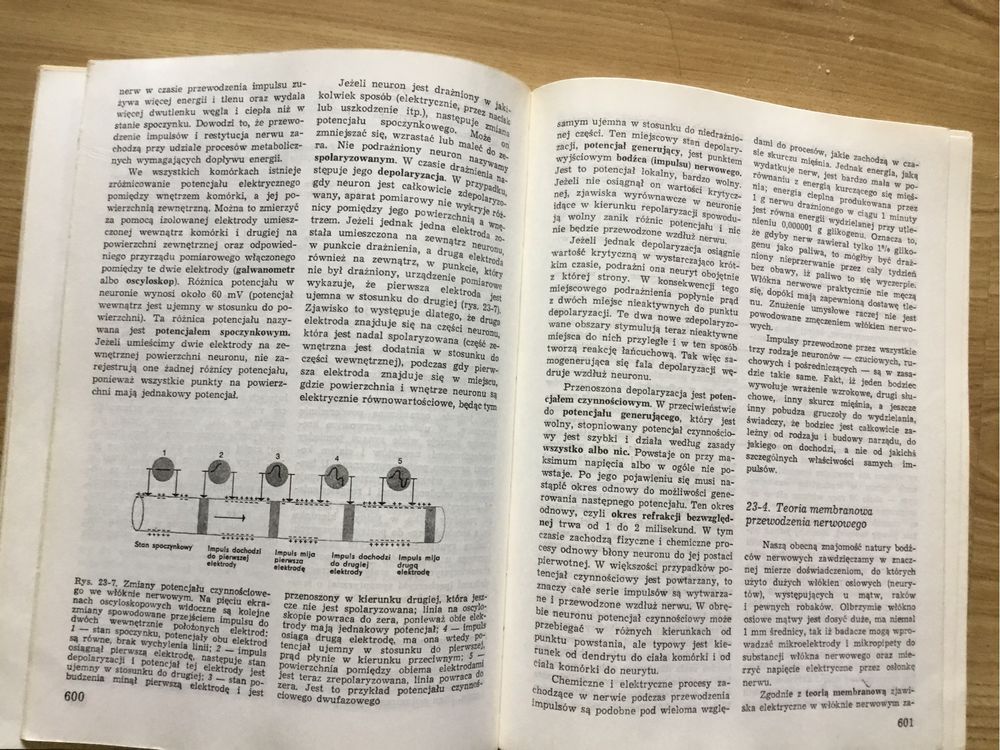 Biologia Villee Książka