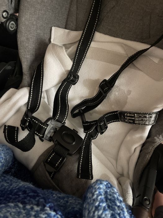 Коляска carello epika