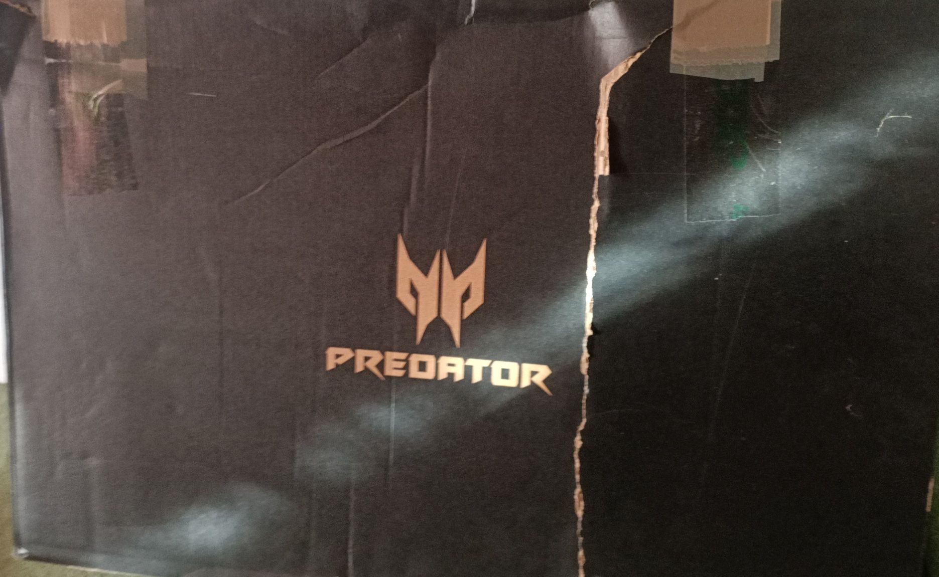 Acer Predator Helios 300