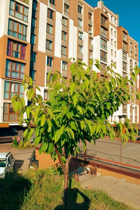 Простора однокімнатна квартира в новобудові